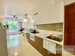 Flamingo Valley (D15), Condominium #481280371